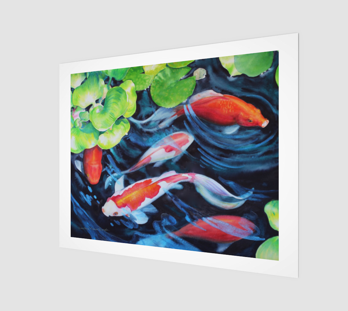"Coy Koi" 16" x 20" Fine Art Print