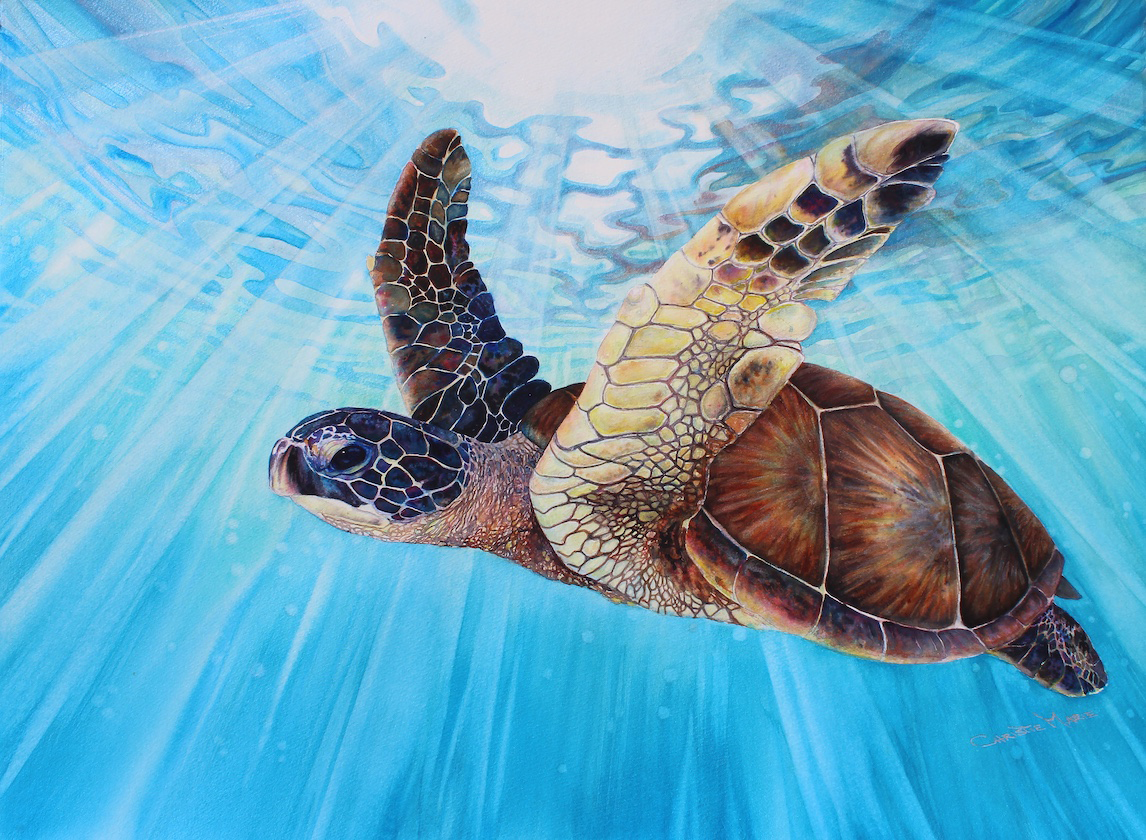 Aloha Spirit original honu watercolor art by Christie Marie Elder