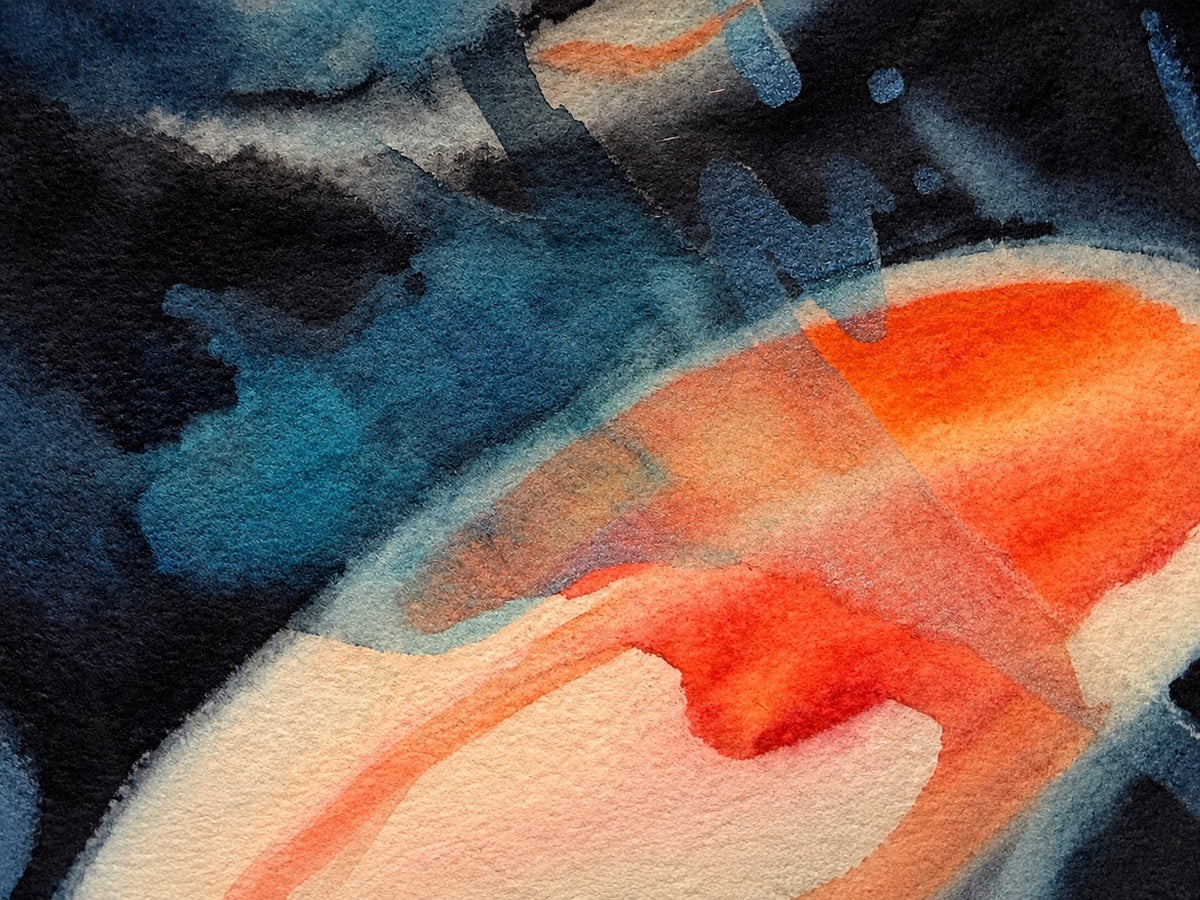 Close-up of Coy Koi showing blue gemstone pigment layered over warm orange koi, creating depth and shimmer.