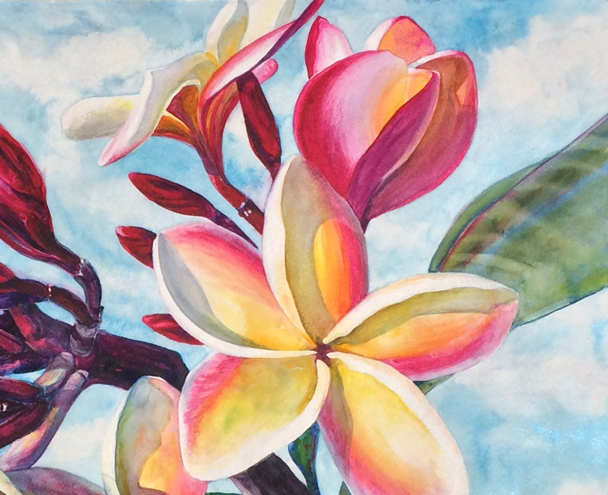 Close-up of luminous pink yellow and cream plumeria blossoms in Laʻa Kea o Kekaha original watercolor