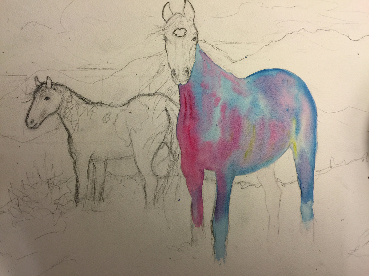 Early watercolor stage of Mustangs Wild showing magenta phthalo blue and lemon yellow underpainting on the stallion