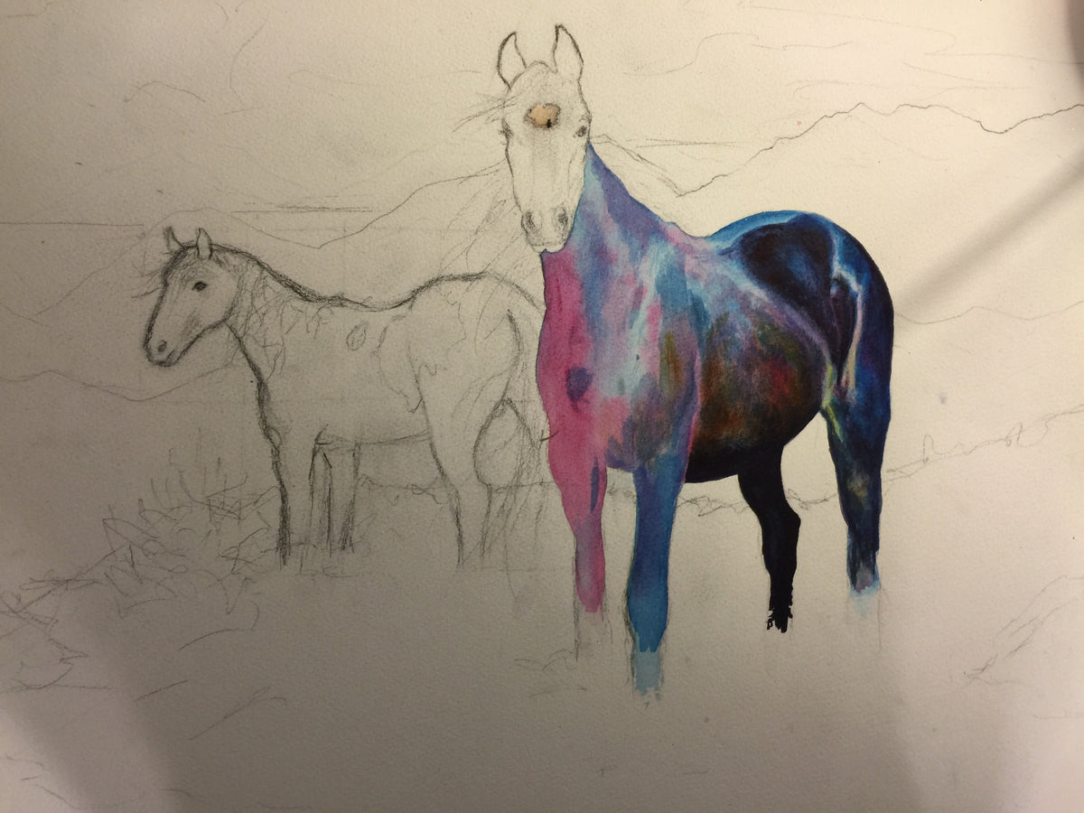 Watercolor process detail showing transparent layers building the dark coat of the mustang stallion