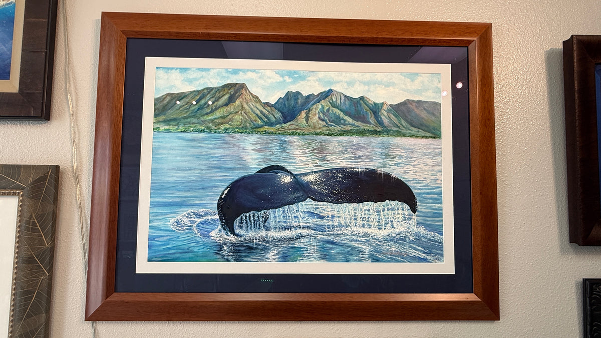Sanctuary Hawaii , Maui Whale Tail Artwork watercolor art  professionally framed with navy and white matting