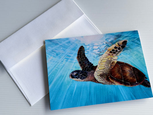 Greeting Card Set - Hawaiian Ocean / Sea Life Art - Set of 4 Cards - Blank Inside - 5" x 7"