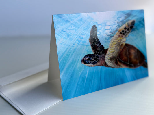 Aloha Spirit - Tropical Sea Turtle - Pack of 10 Greeting Cards & Envelopes (US & CA)
