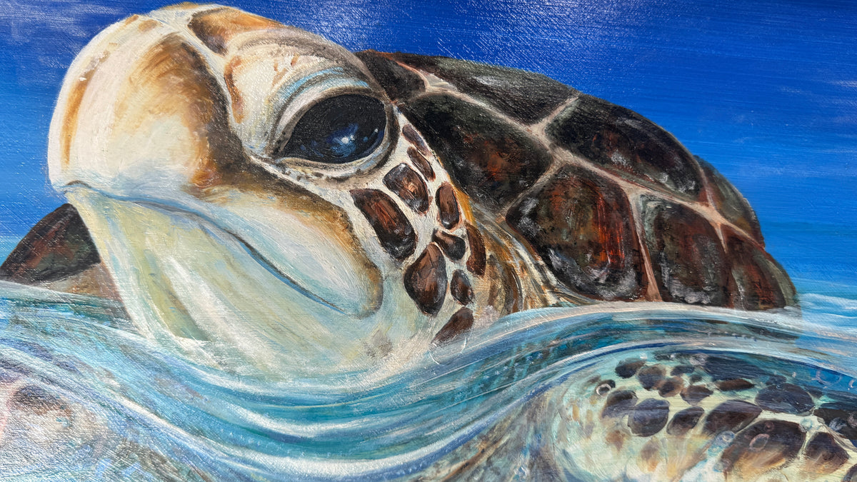 Close-up detail of the honu surfacing at the waterline in Peace of the Tropics
