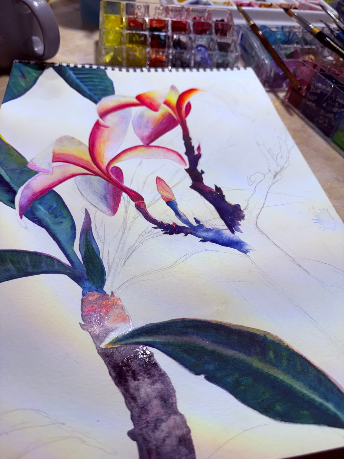 Māla Lani — Original Plumeria Watercolor