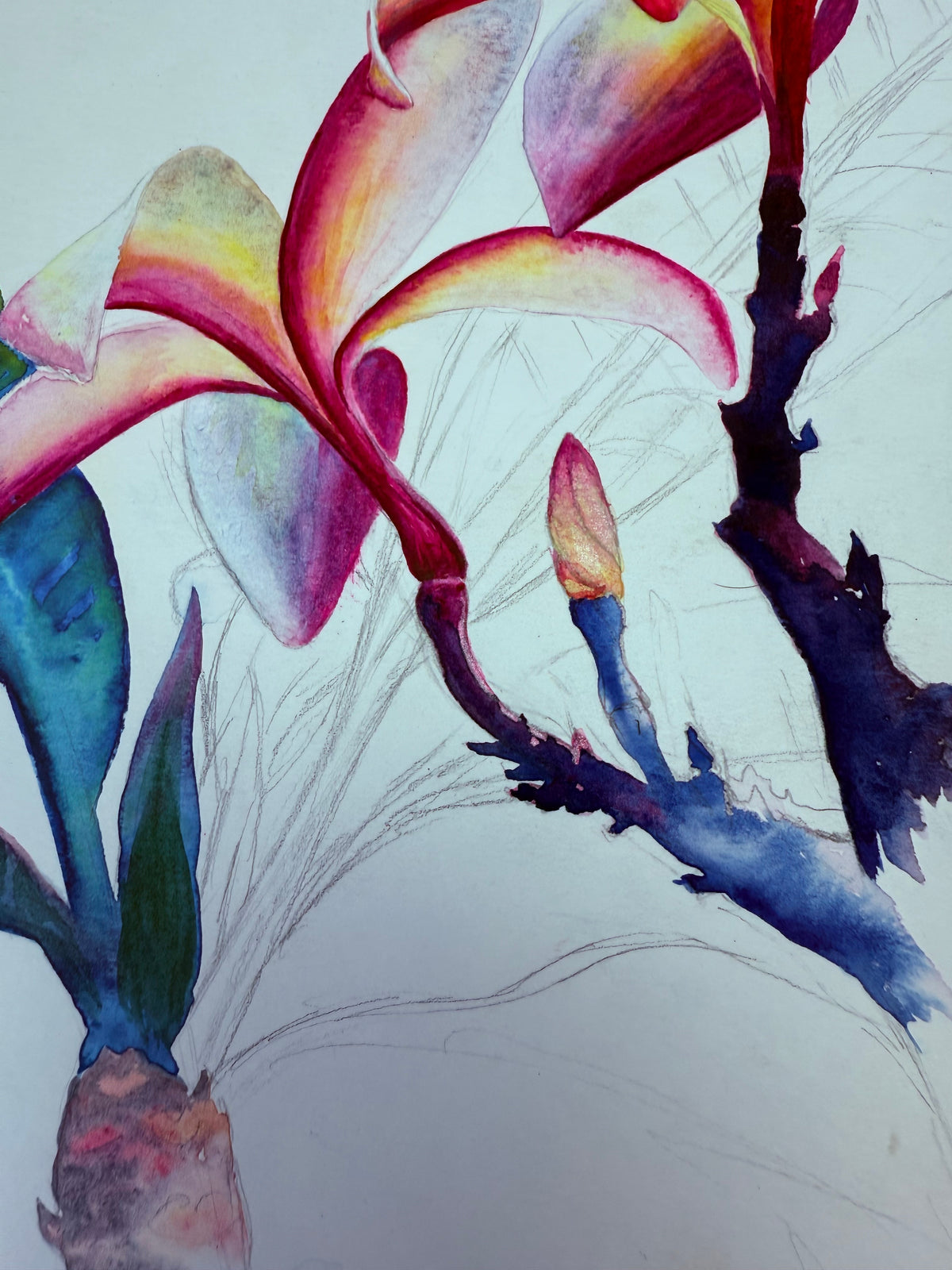Māla Lani — Original Plumeria Watercolor