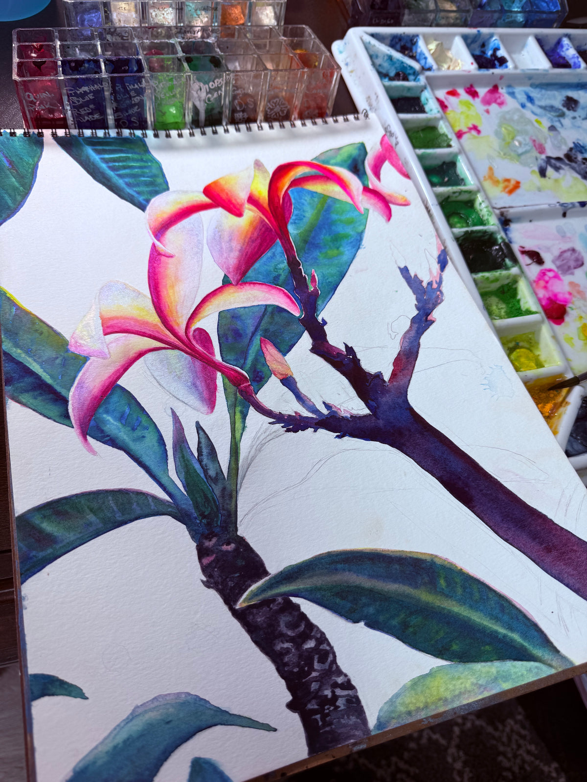Māla Lani — Original Plumeria Watercolor