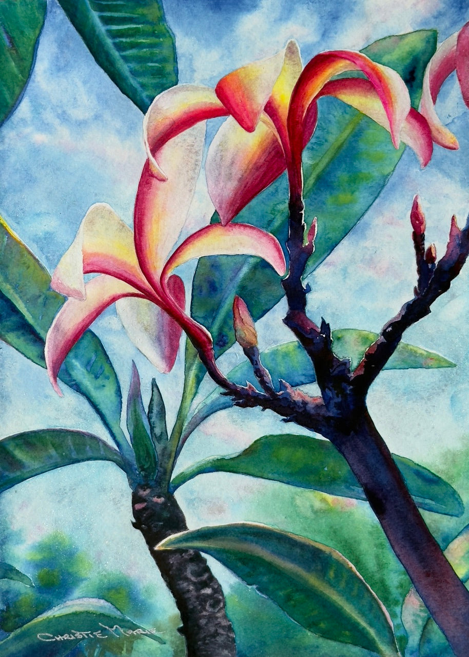 Māla Lani — Original Plumeria Watercolor