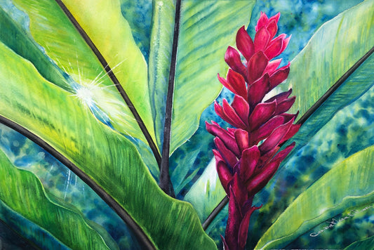 Tropical Flame original Hawaiian red ginger watercolor by Christie Marie Elder with deep magenta flowers and luminous tropical foliage