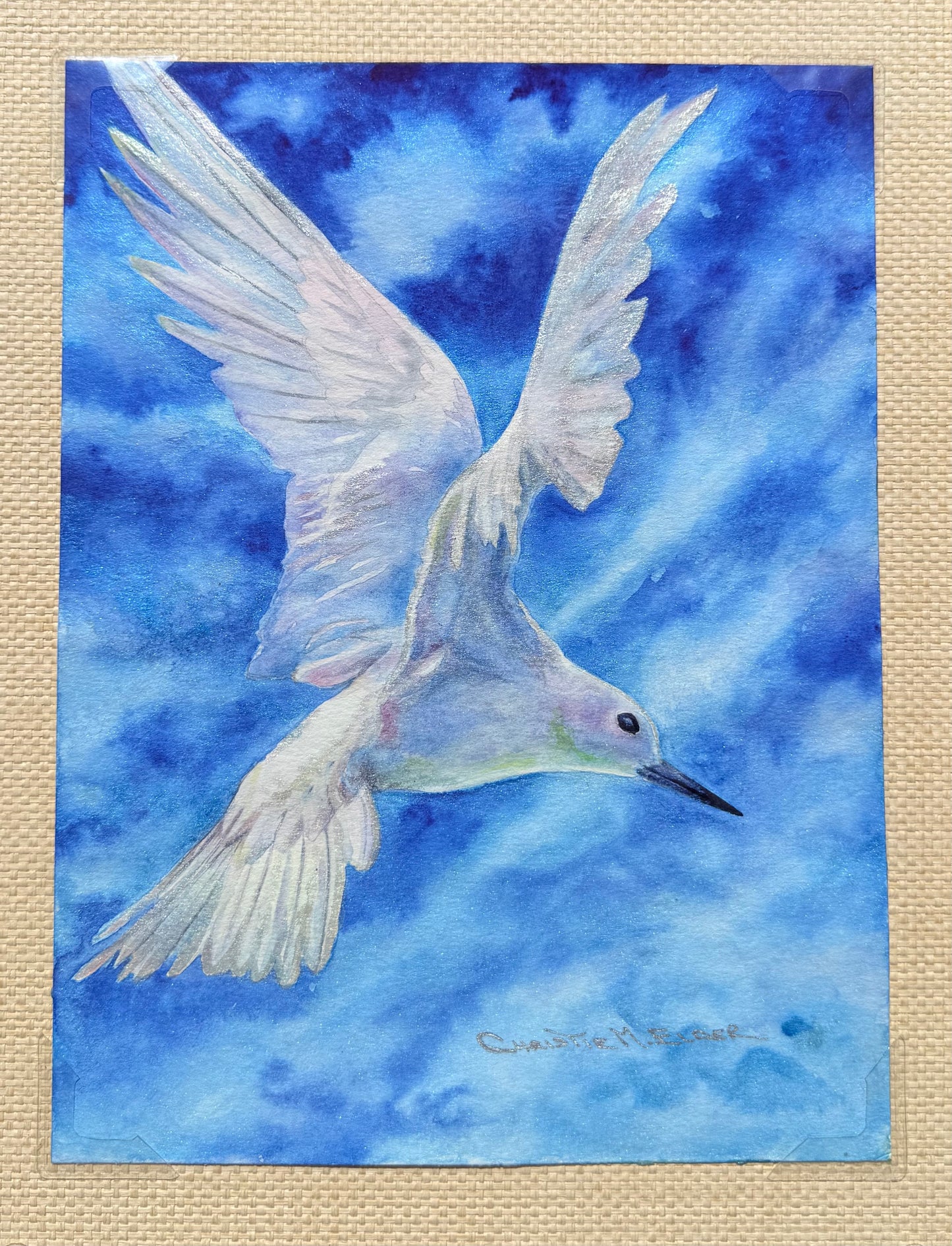 Original Koa Wood Framed Watercolor - No Ka Mana'olana - Manu-o-Kū or White Tern a native Hawaiian Seabird