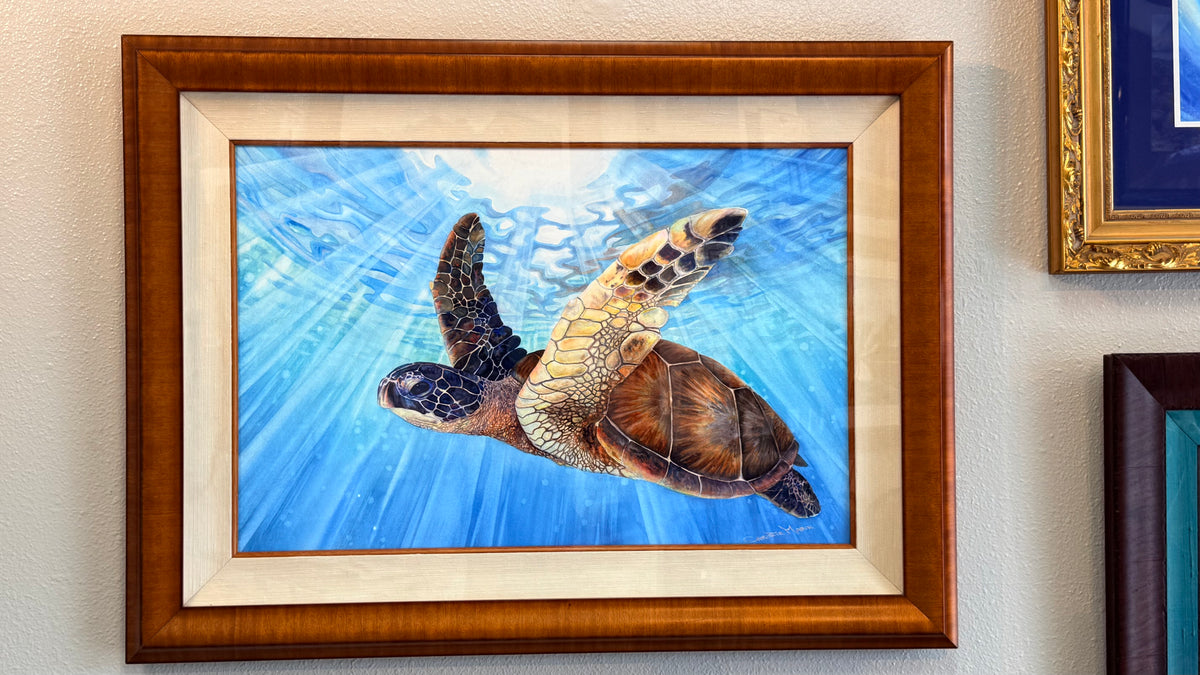 Aloha Spirit, swimming Hawaiian sea turtle professionally framed in curly koa wood watercolor artwork by Christie Marie Elder 
