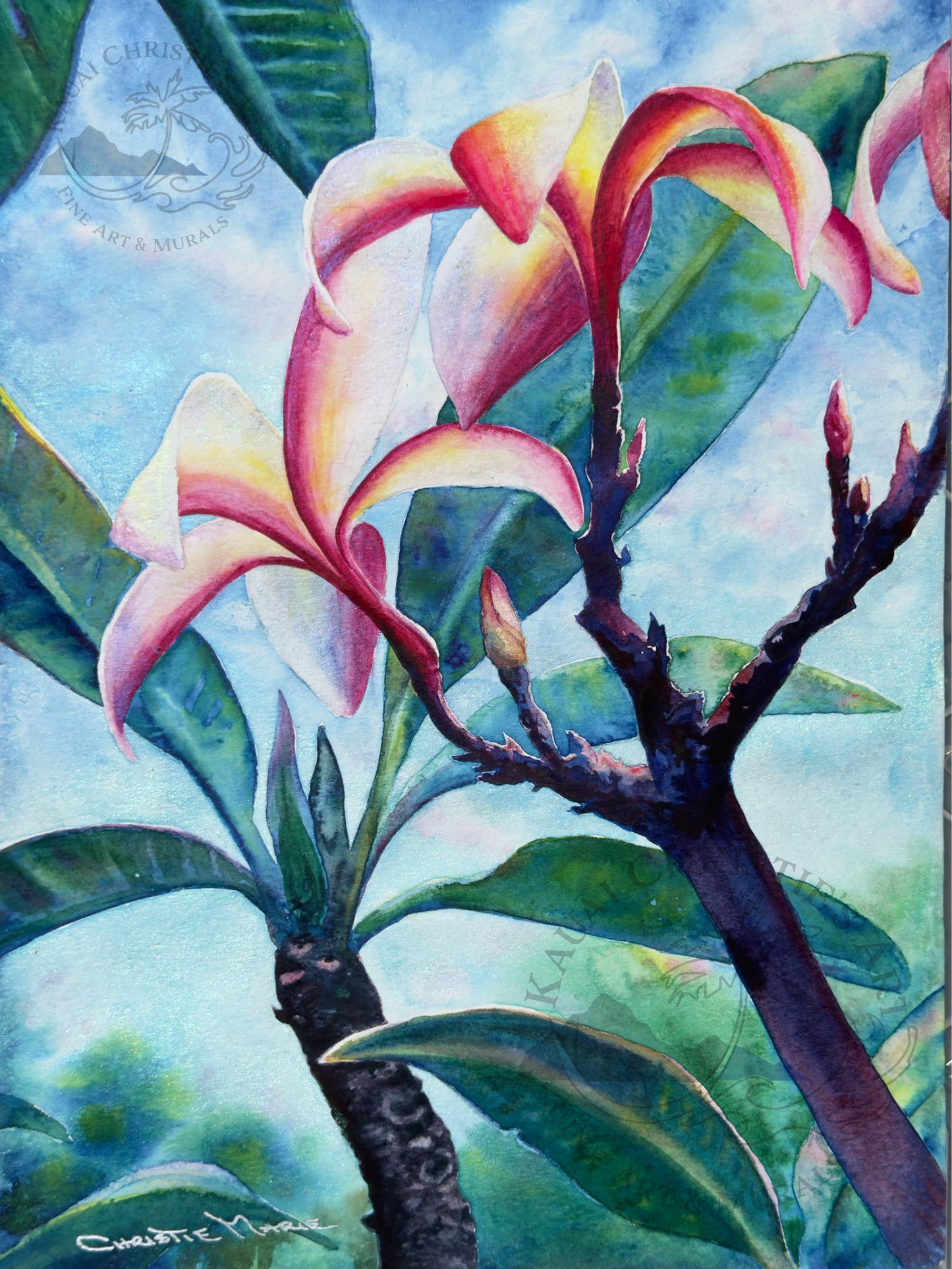 Watercolor painting of Tropical Plumeria Flowers with solf clouds in the blue sky beyond.