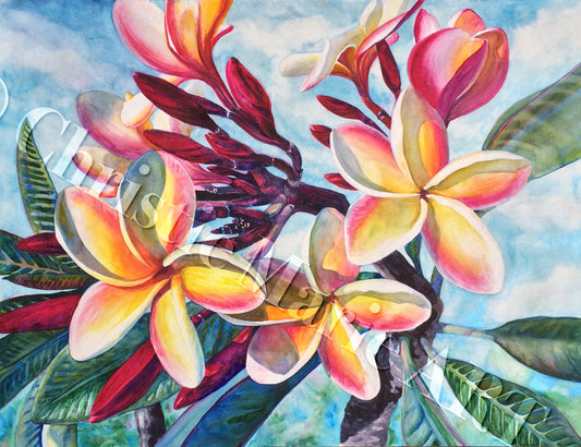 Original Large Watercolor Painting Art, Tropical Plumeria Flowers, Beautiful Hawaiian  Artist Christie Marie ©