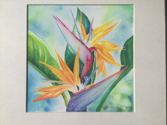 ORIGINAL ART Tropical Flower Bird of Paradise Watercolor Painting Hawaiian Island, Framed by artist Christie Marie E Russell ©